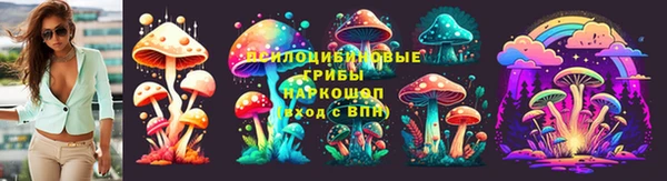 гашик Балабаново