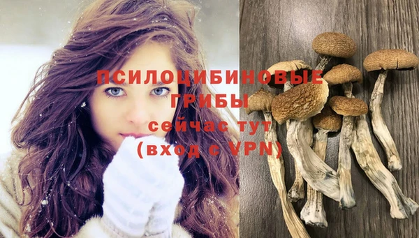 мяу мяу мука Балахна