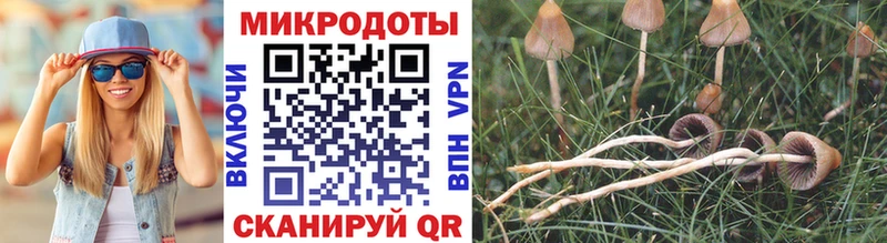 hydra как зайти  купить наркотик  Мурманск  Псилоцибиновые грибы мухоморы 