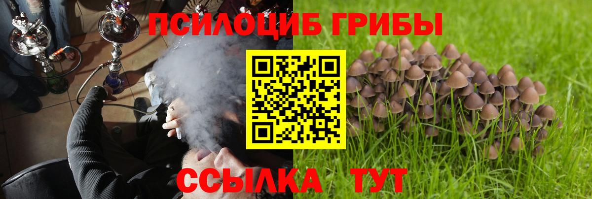 Галлюциногенные грибы мухоморы  Вход с VPN  Мурманск 